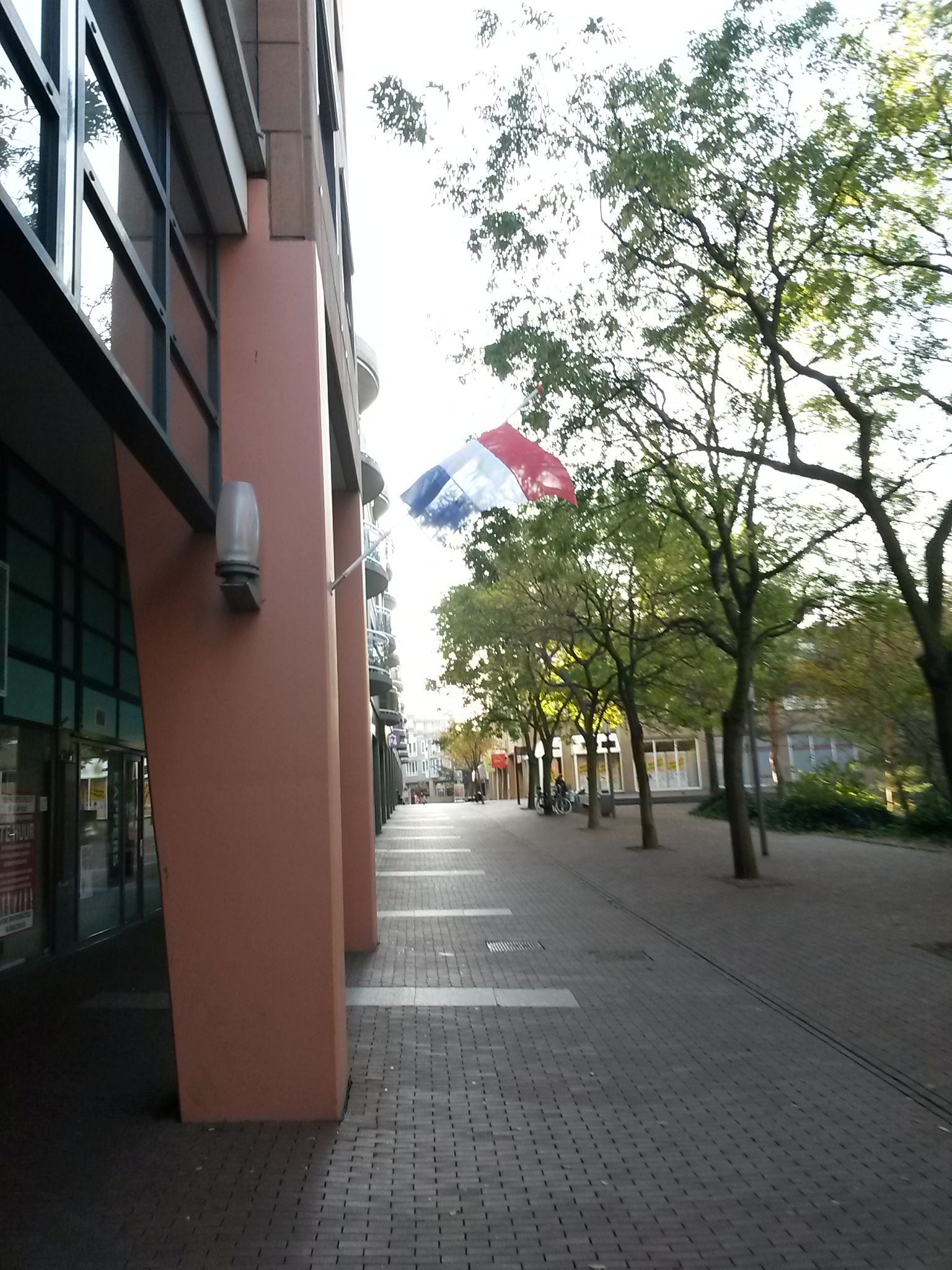 Noordwaarts met vlag