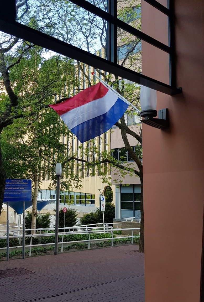 Vlaghalfstok 2020 05 04 2